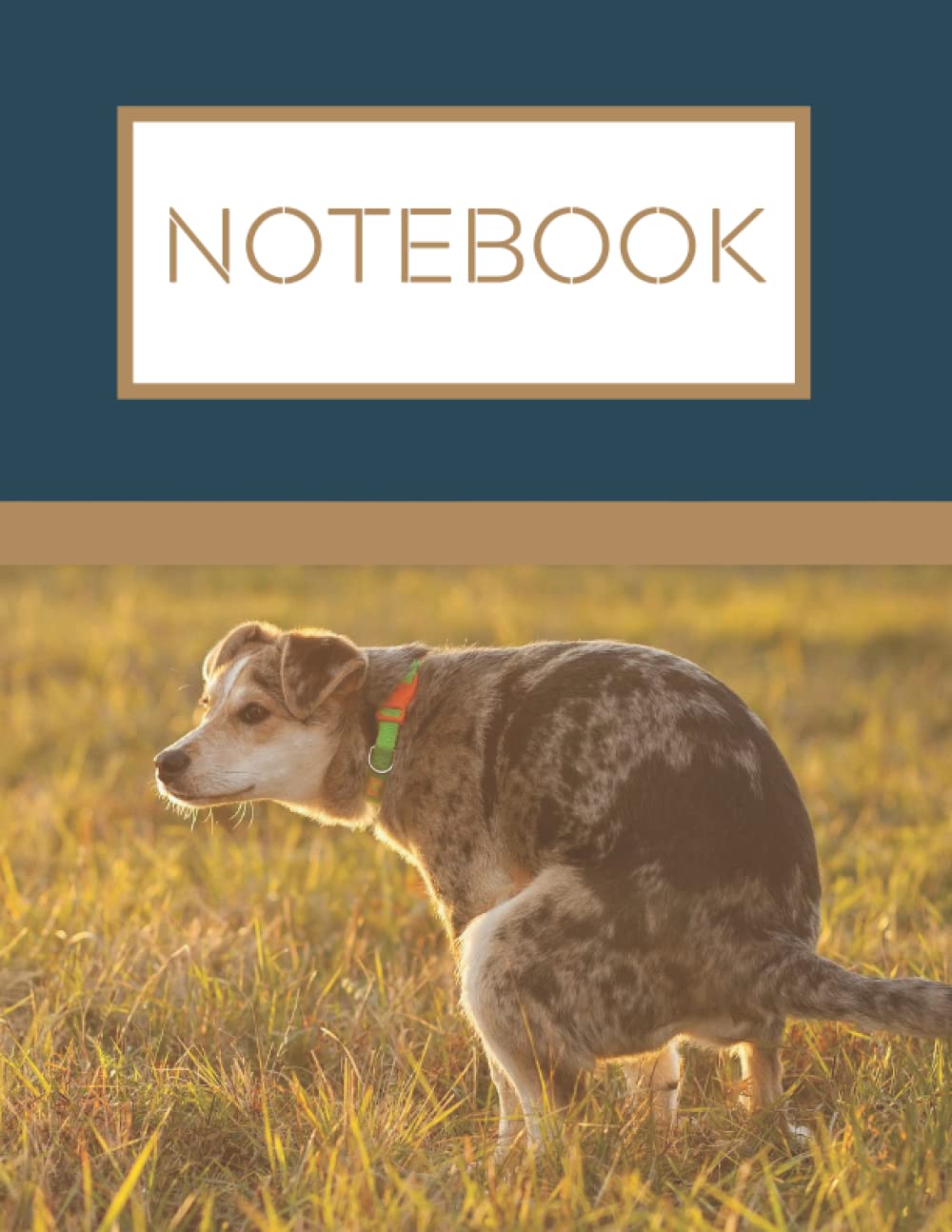 ler totalmente POOPING DOG COMPOSITION NOTEBOOK WIDE RULED: Pooping Dog Notebook for dog lovers, Pooping Dog Composition Notebook for boys and girls, 120 College Wide-Ruled Pages