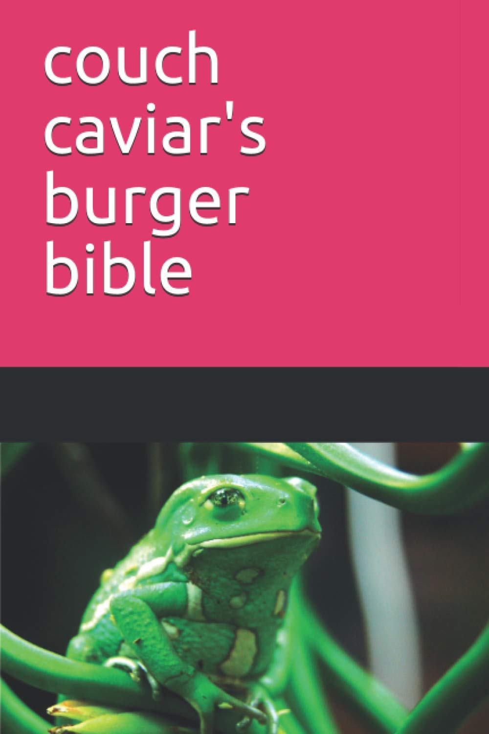 Couch Caviar's Burger Bible baixar livro de graça