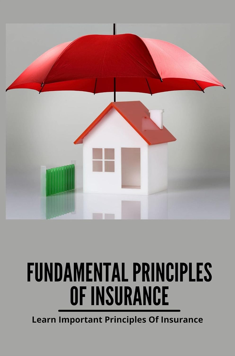 ler totalmente Fundamental Principles Of Insurance: Learn Important Principles Of Insurance (English Edition)