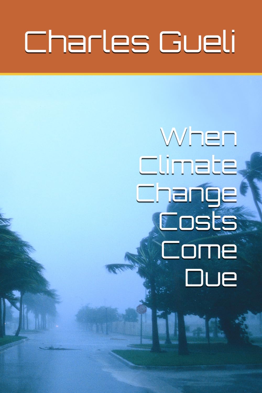 When Climate Change Costs Come Due baixar livro de graça