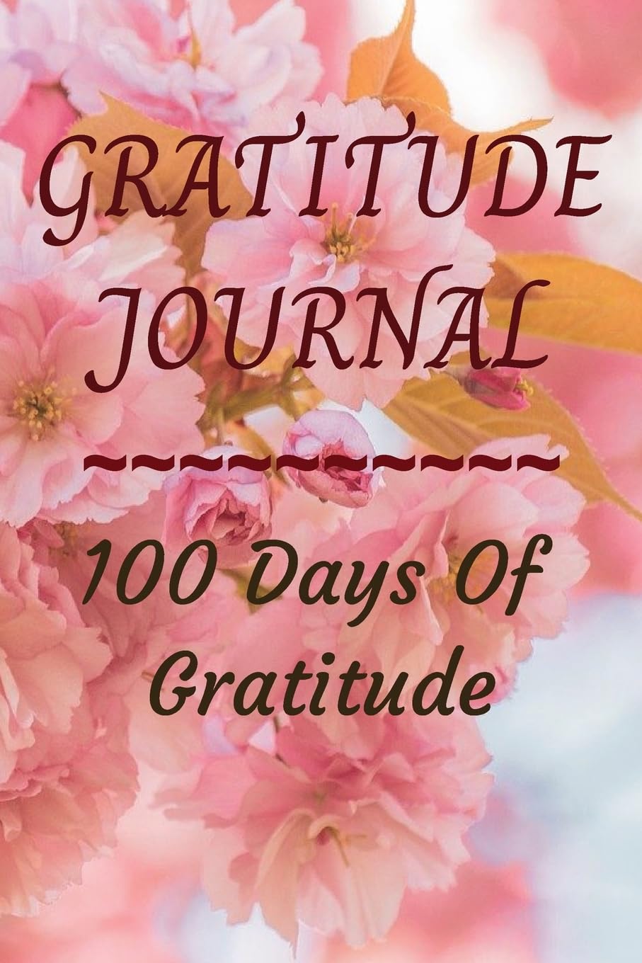 Gratitude Journal: 100 Days of Gratitude baixar livro de graça