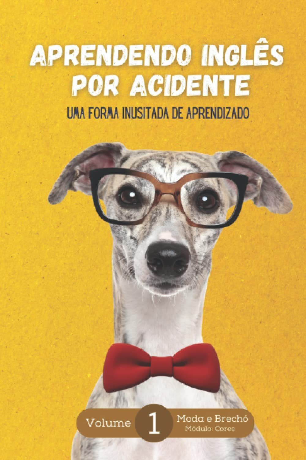capítulo por capítulo baixar Aprendendo Inglês por acidente: Uma forma inusitada de aprendizado, Vol. 1: Moda & Brechó Módulo: Cores (Portuguese Edition)