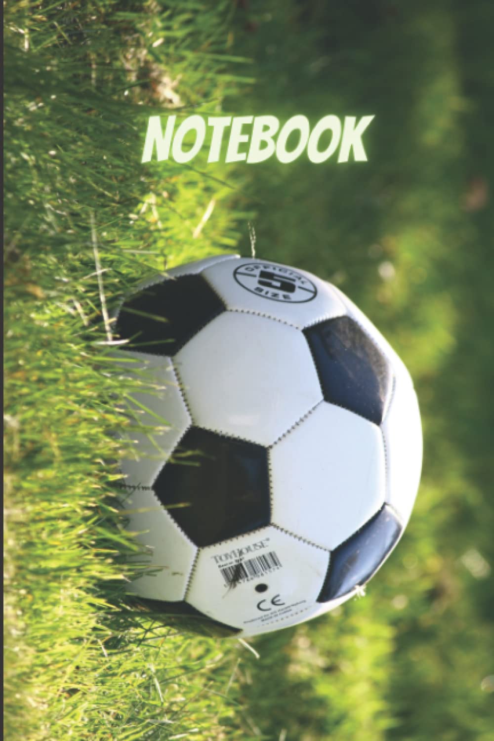Notebool: Cool Soccer Themed journal for teens baixar livro de graça