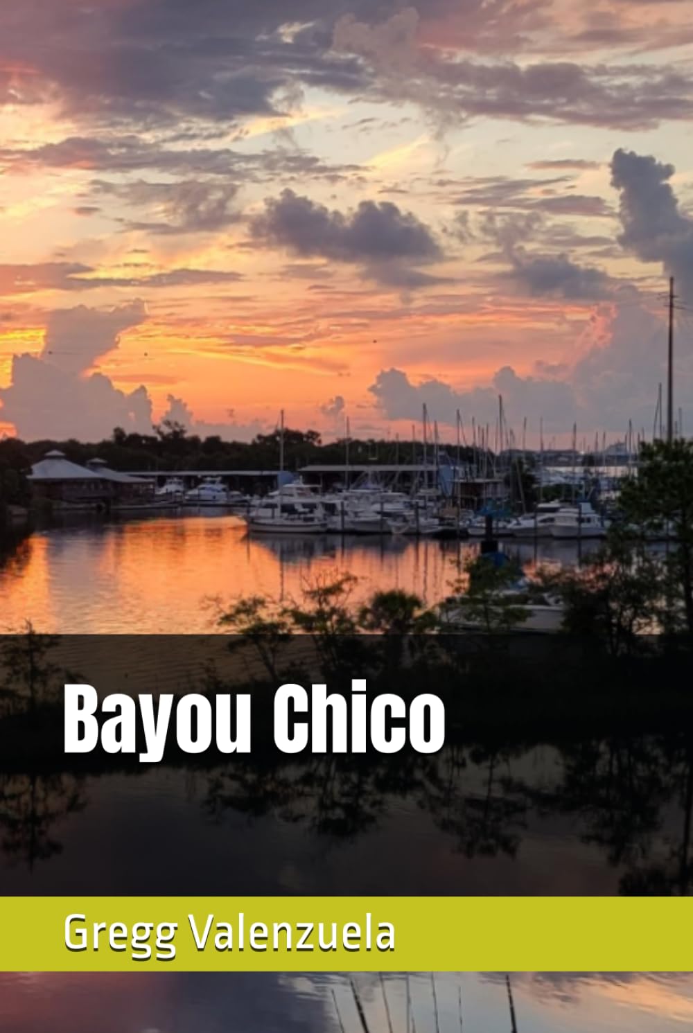 Bayou Chico baixar o livro de graça