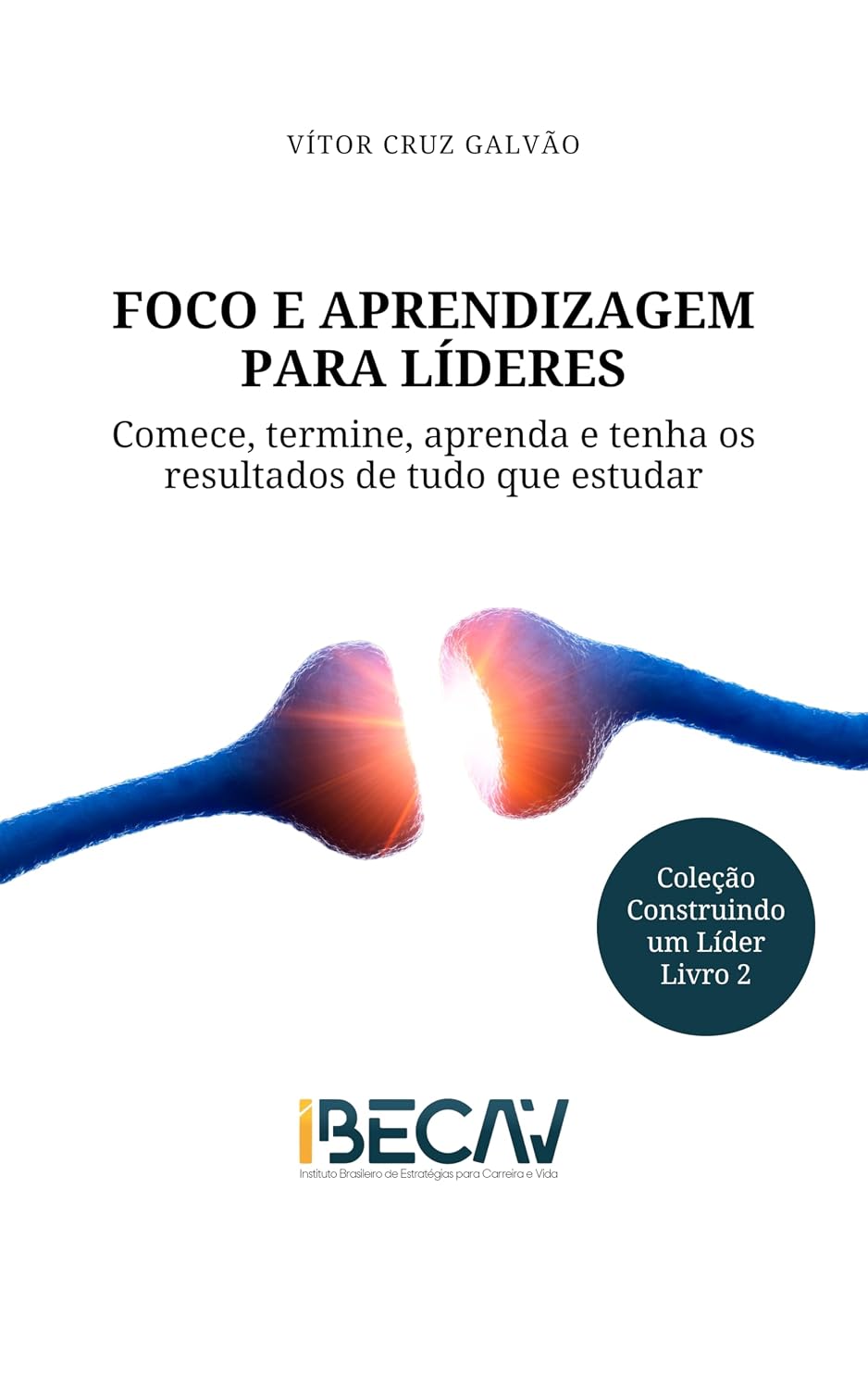 Foco e Aprendizagem para Líderes: Comece, termine, aprenda e tenha os resultados de tudo o que estudar (Construindo um Líder Livro 2) baixar livro de graça