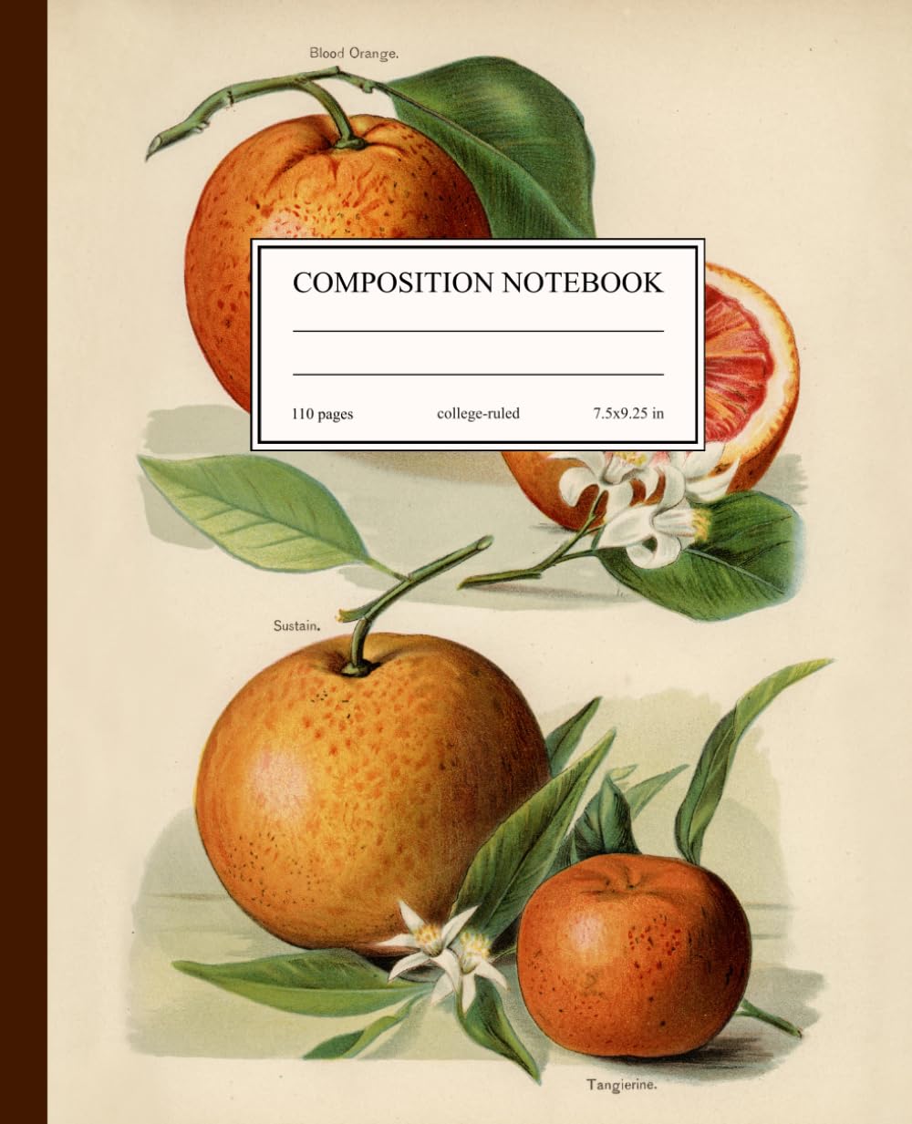 capítulo por capítulo baixar Composition Notebook College Ruled: Vintage Citrus Fruit Illustration | Notebook with Oranges | Aesthetic Botanical Fruit Journal for School, College, Office, and Work