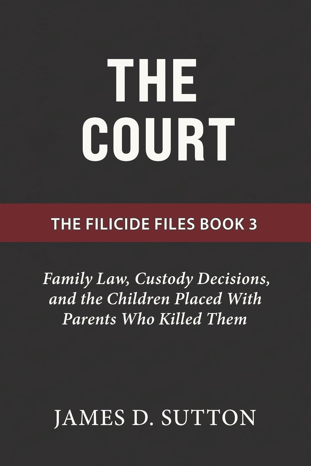 The Court: Family Law, Custody Decisions, and the Children Placed With Parents Who Killed Them (The Filicide Files Book 3) (English Edition) baixar livro de graça