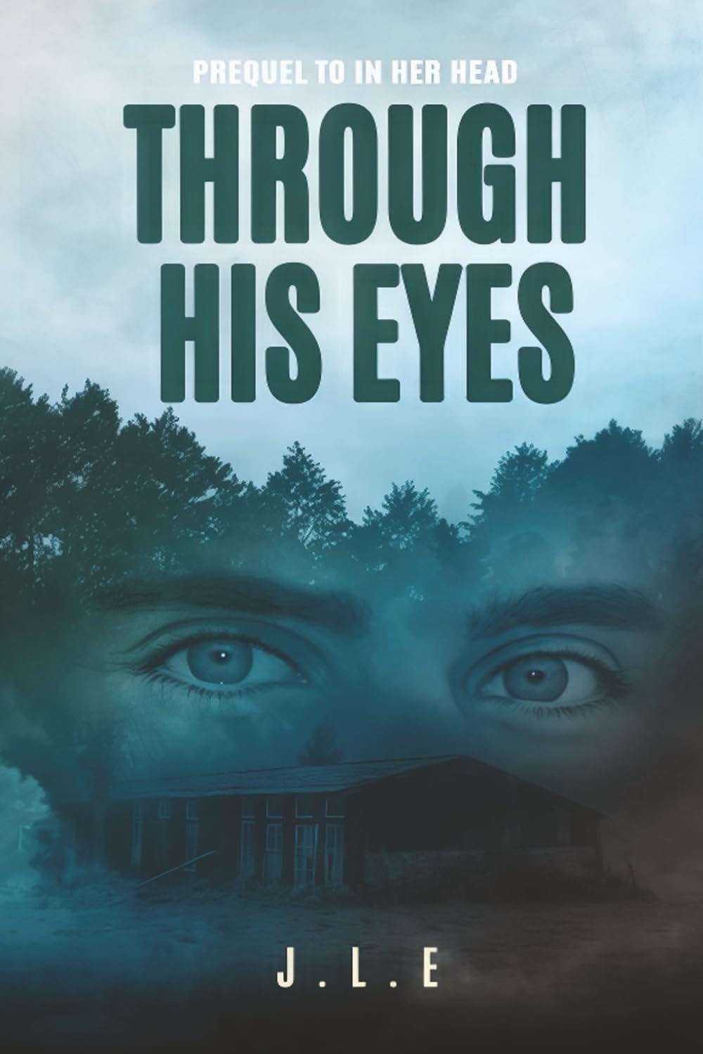 ler totalmente Through His Eyes: Prequel to In Her Head
