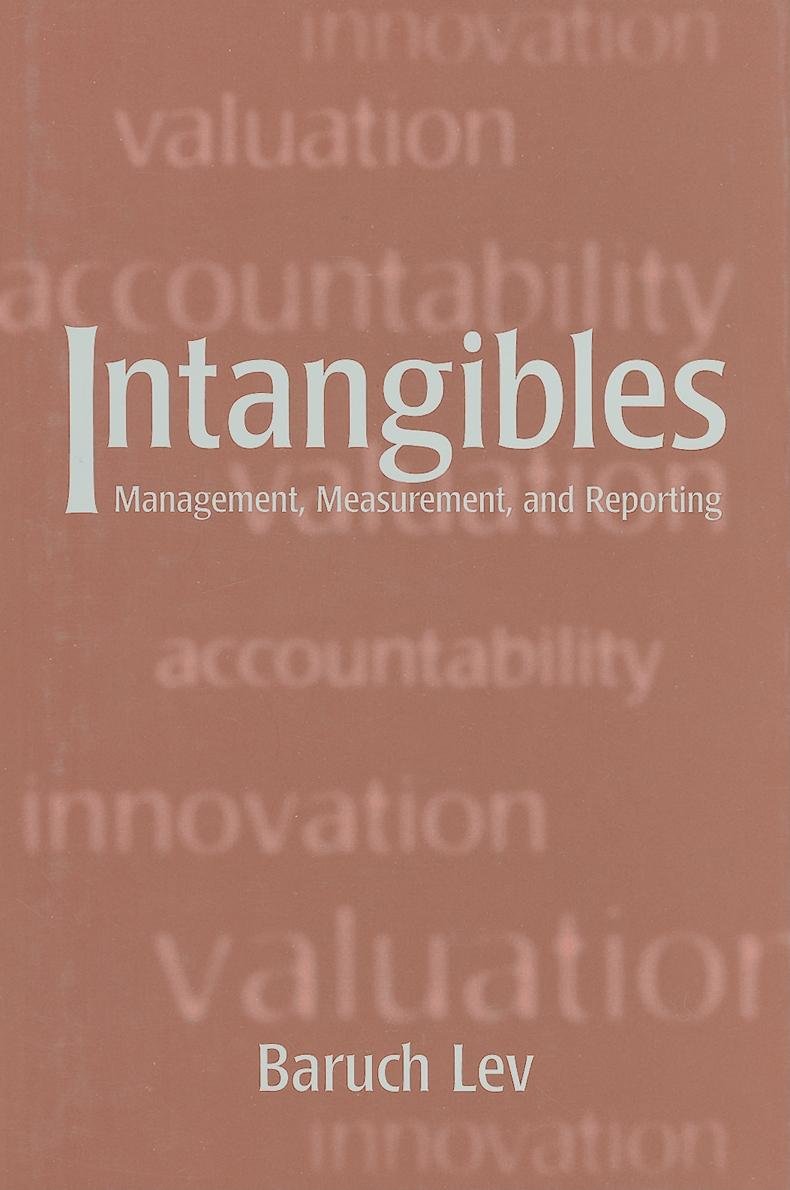 Intangibles: Management, Measurement, and Reporting (English Edition) baixar livro de graça