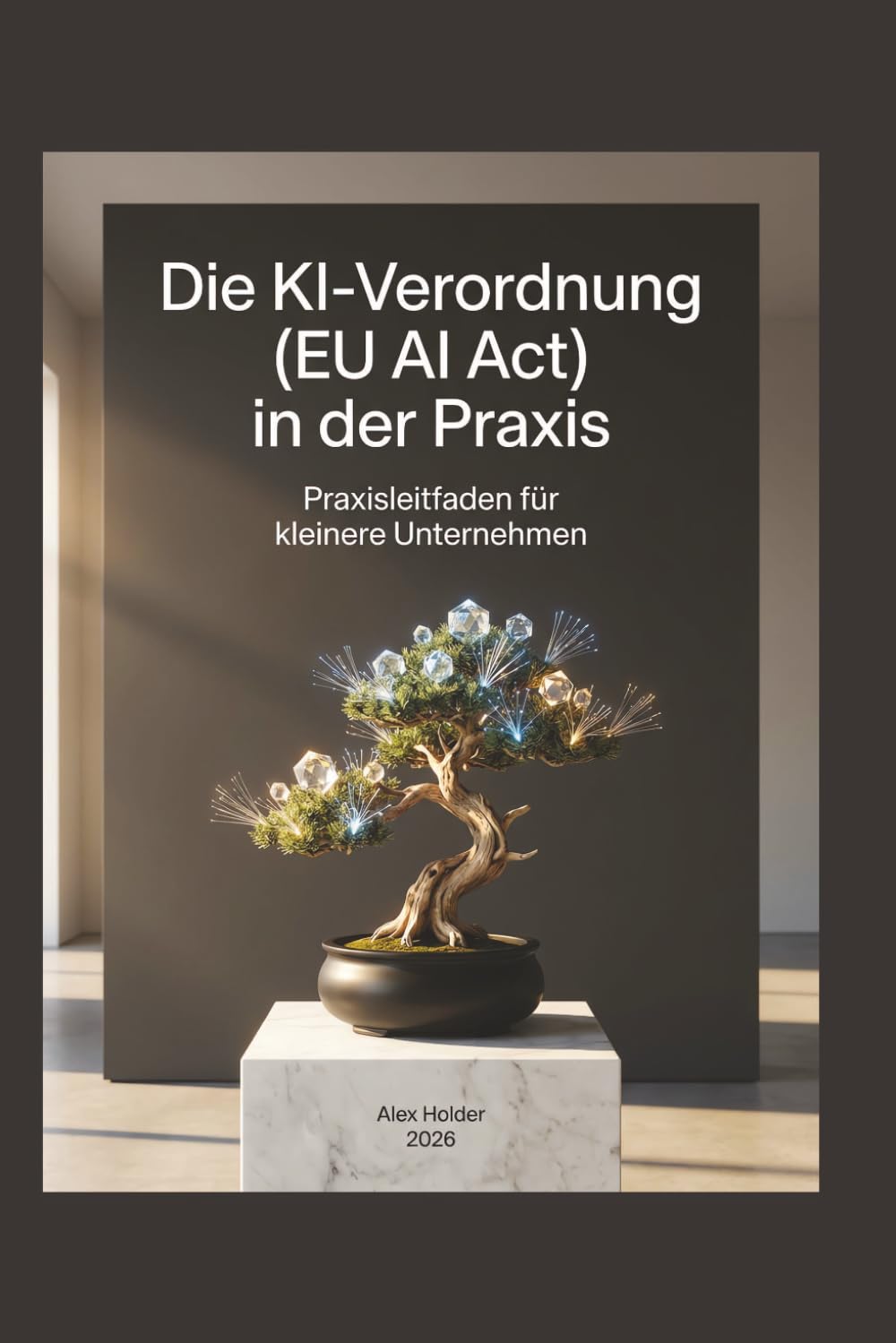 Die KI-Verordnung (EU AI Act) in der Praxis: Praxisleitfaden für kleinere Unternehmen (German Edition) baixar o livro de graça