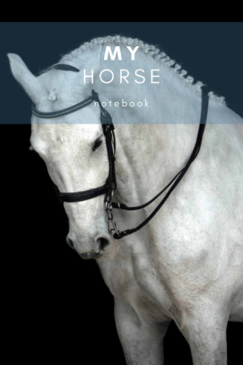 ler totalmente My Horse Notebook: A beautiful journal for horse health data and training | Nutrition, fitness and exercise diary for the horse | Horse care journal