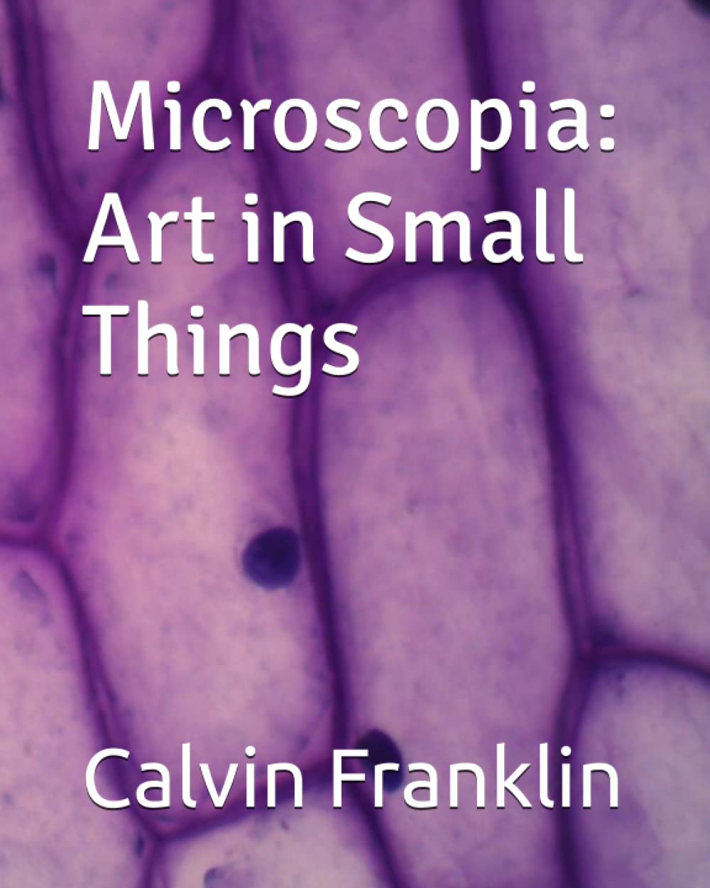 Microscopia: Art in Small Things baixar o livro de graça