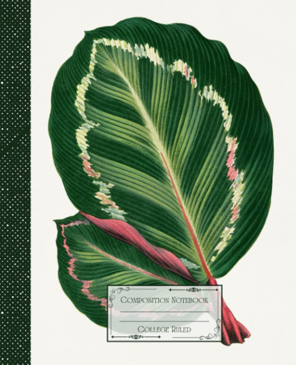 capítulo por capítulo baixar Vintage Tropical Leaf Composition Notebook College Ruled: Vintage Tropical Illustration | Classic Composition Notebook for Writing and Journaling |... for College Students, School and Work.