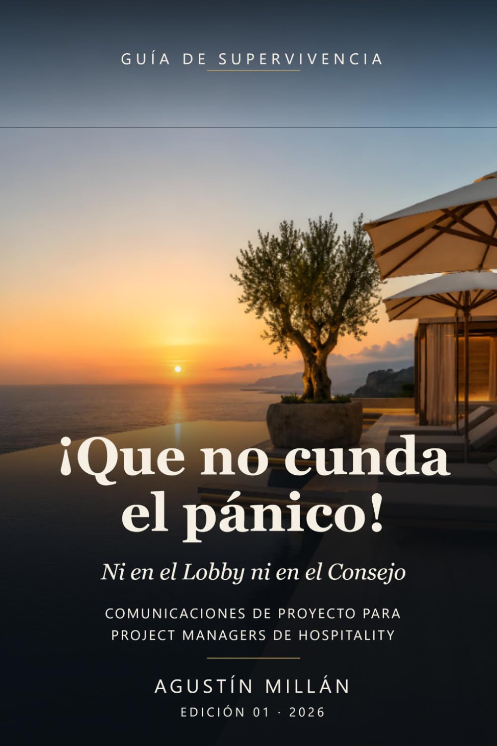 ¡Que no cunda el pánico!: Ni en el Lobby ni en el Consejo: guía de supervivencia en comunicaciones para Project Managers de Hospitality (Spanish Edition) baixar o livro de graça