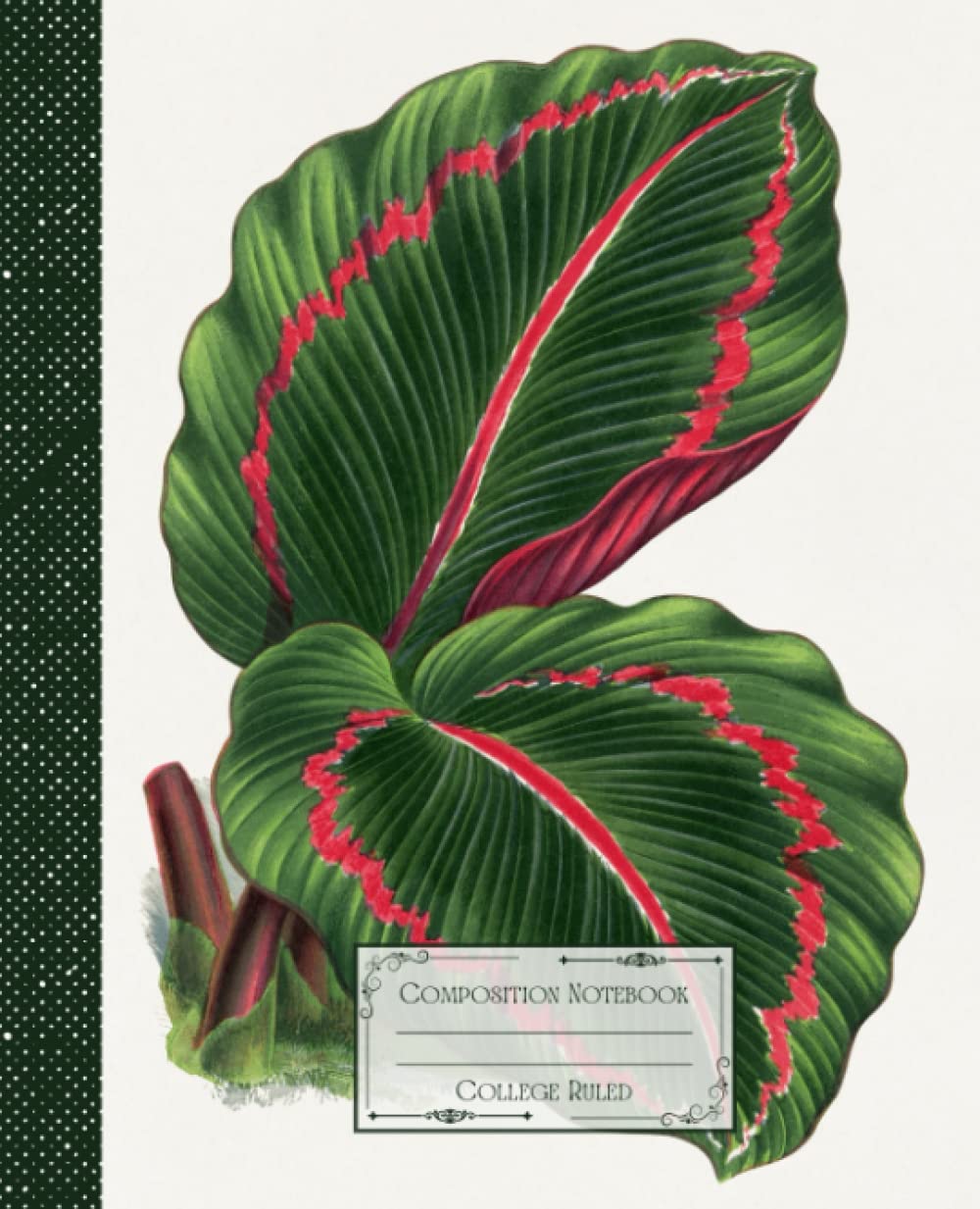 Vintage Tropical Leaf Composition Notebook College Ruled: Vintage Tropical Illustration | Classic Composition Notebook for Writing and Journaling |... for College Students, School and Work. baixar livro de graça