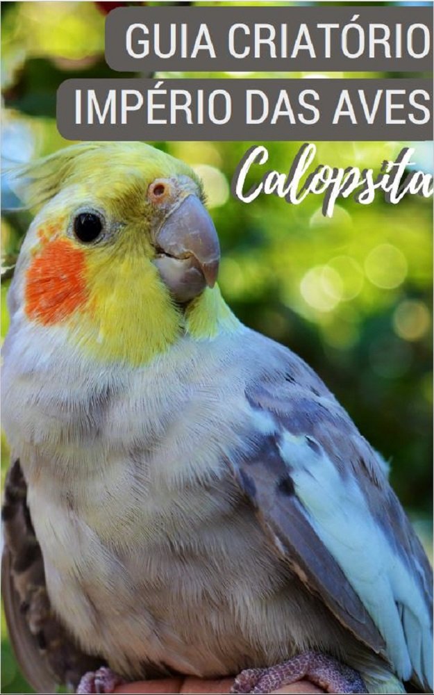 capítulo por capítulo baixar Guia Criatório Império das Aves Calopsita