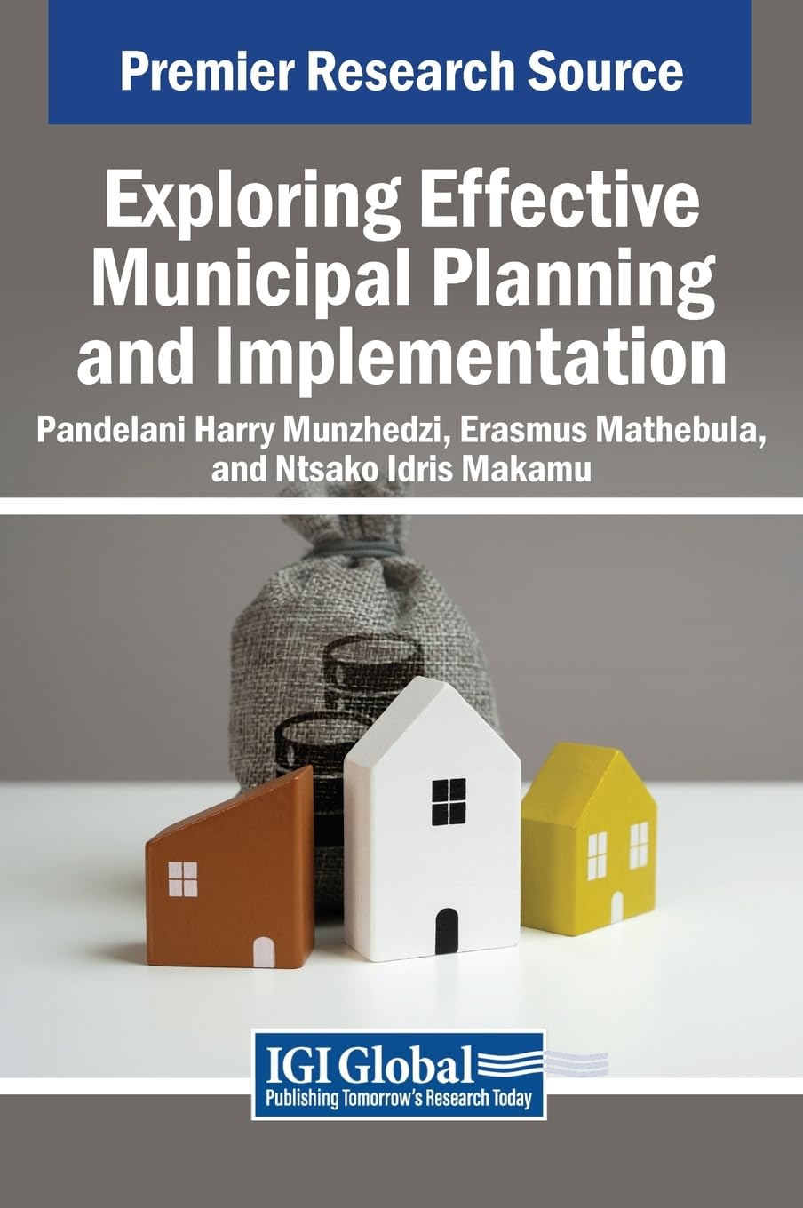 Exploring Effective Municipal Planning and Implementation baixar o livro de graça