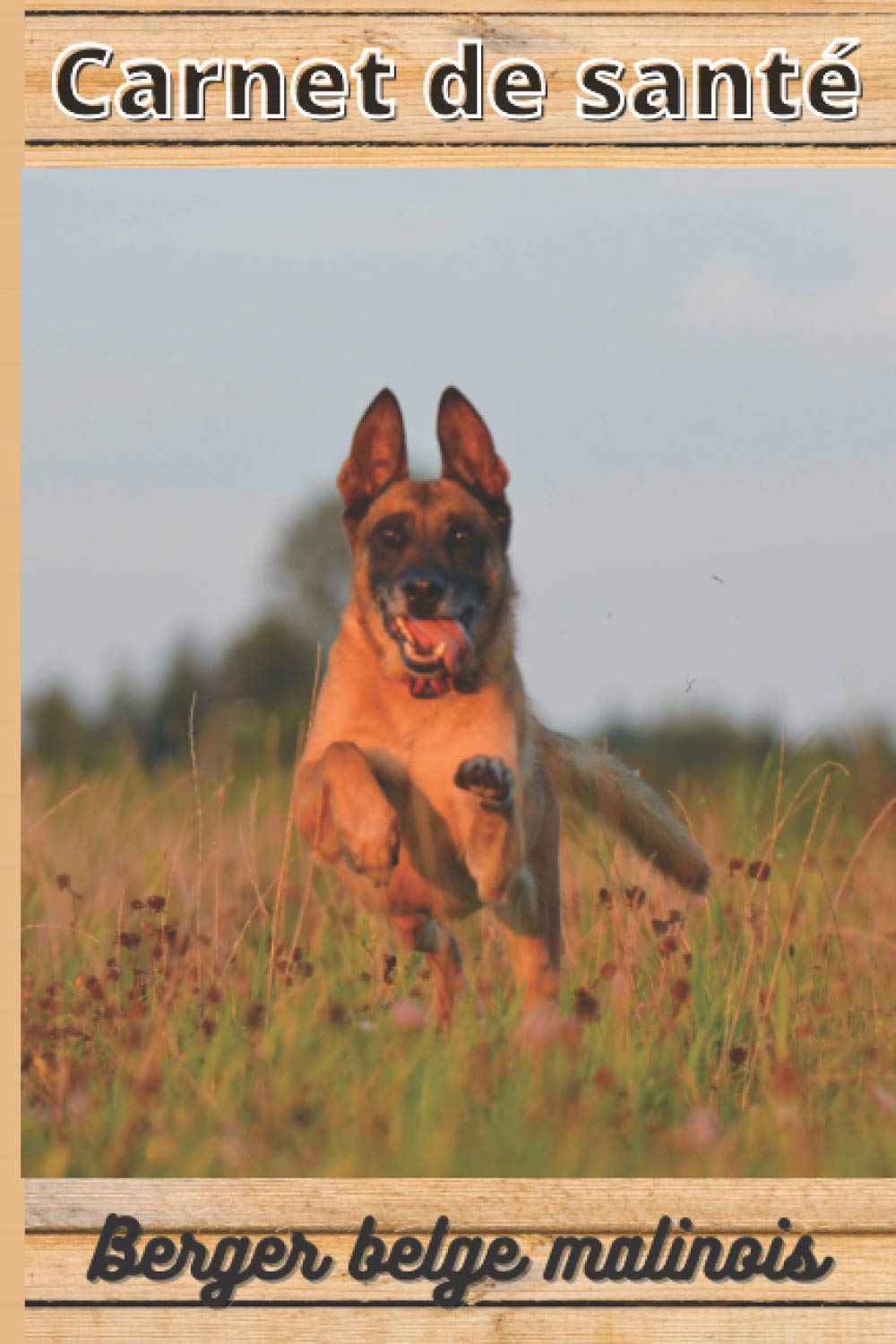 ler totalmente CARNET DE SANTE BERGER BELGE MALINOIS: Mon cahier de suivi santé chien Berger belge malinois à remplir ou compléter | Mon carnet santé chien |... cm sur 22,86 cm 101 pages (French Edition)