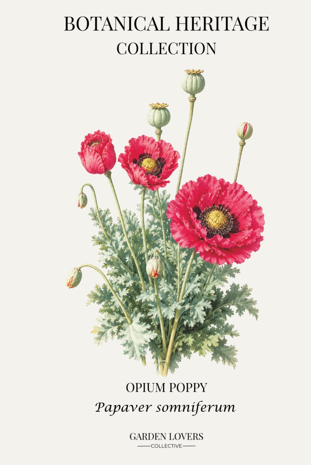 capítulo por capítulo baixar Opium Poppy: A Botanical Heritage Collection Notebook Featuring Papaver somniferum