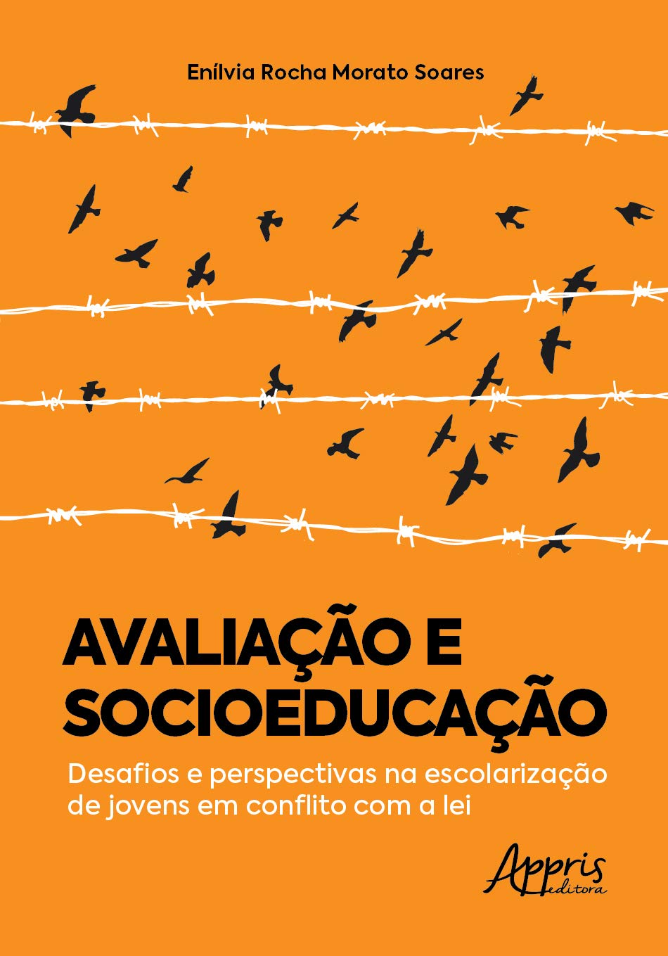 Avaliação e socioeducação: desafios e perspectivas na escolarização de jovens em conflito com a lei baixar livro de graça