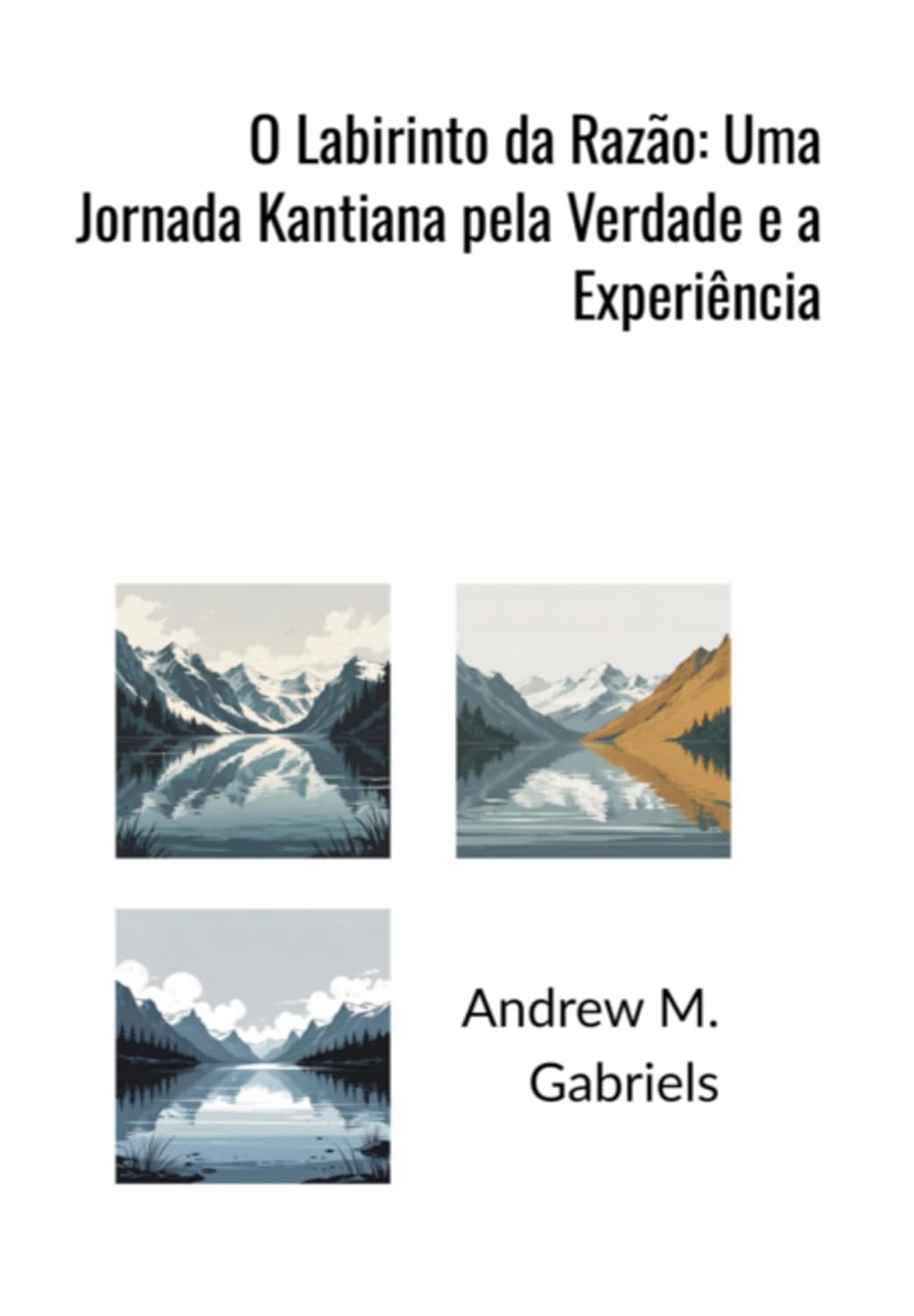 O Labirinto Da Razão: Uma Jornada Kantiana Pela Verdade E A Experiência baixar livro de graça