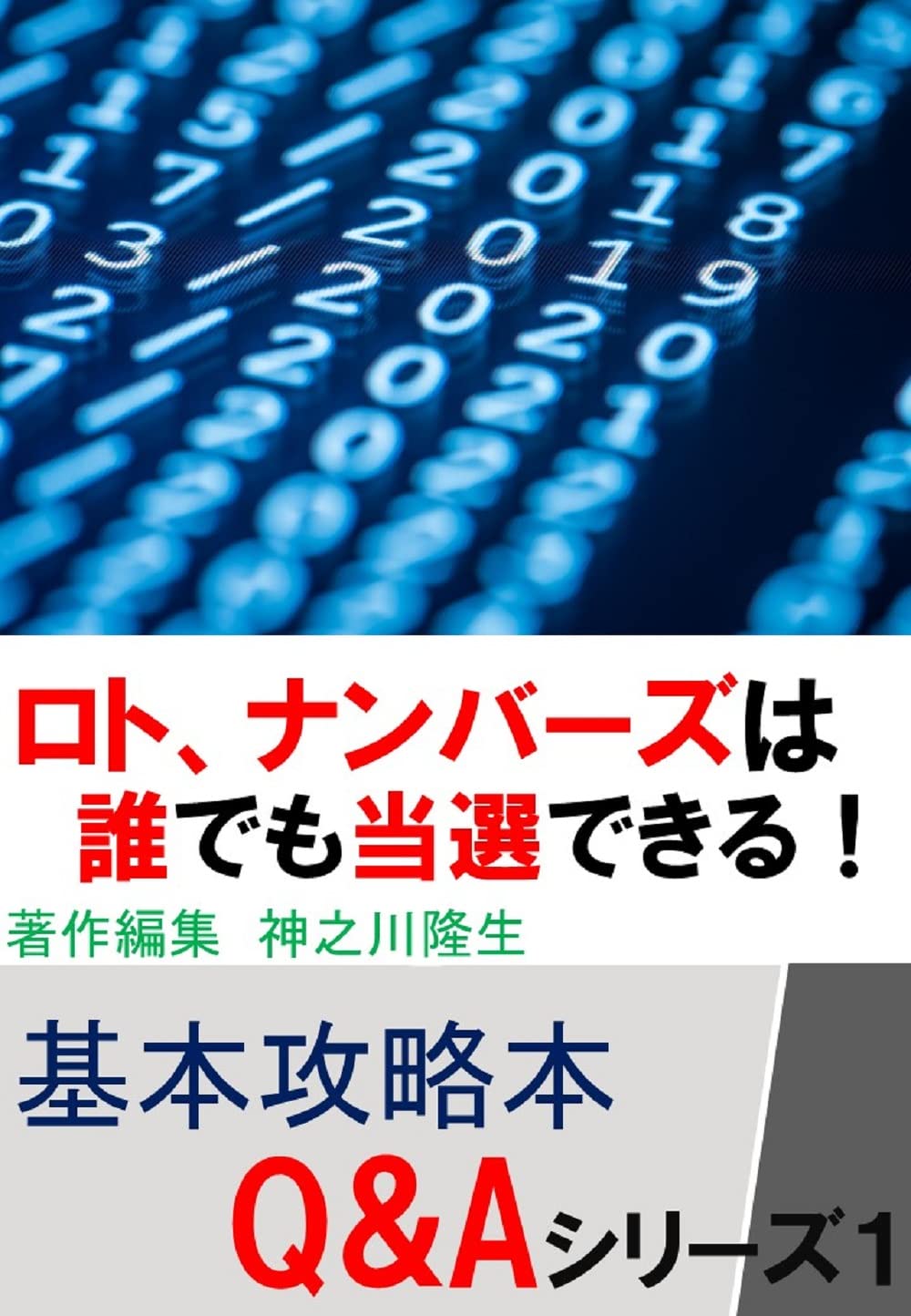 roto nanba-zuha daredemo tousenn dekiru (Japanese Edition) baixar livro de graça