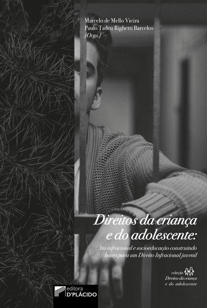 Direitos da Criança e do Adolescente: ato Infracional e Socioeducação Construindo Bases Para um Direito Infracional Juvenil baixar livro de graça