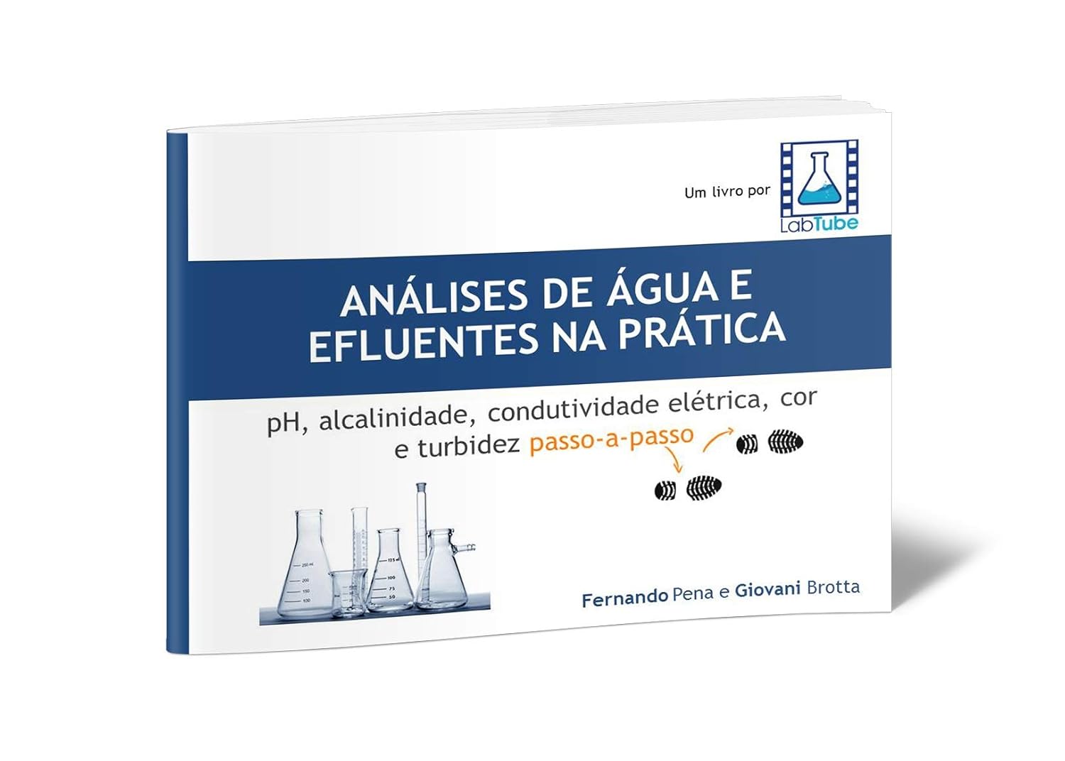 Análises de Água e Efluentes na Prática: pH, alcalinidade, condutividade elétrica, cor e turbidez passo a passo baixar livro de graça