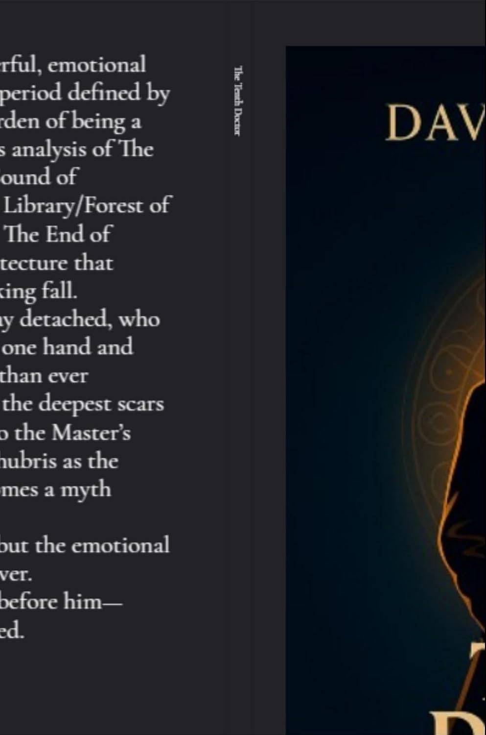 The Tenth Doctor: The Lonely Hero (David Tennant, 2005-2010) (English Edition) baixar livro de graça