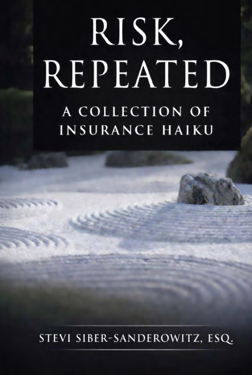 Risk, Repeated: A Collection of Insurance Haiku baixar o livro de graça