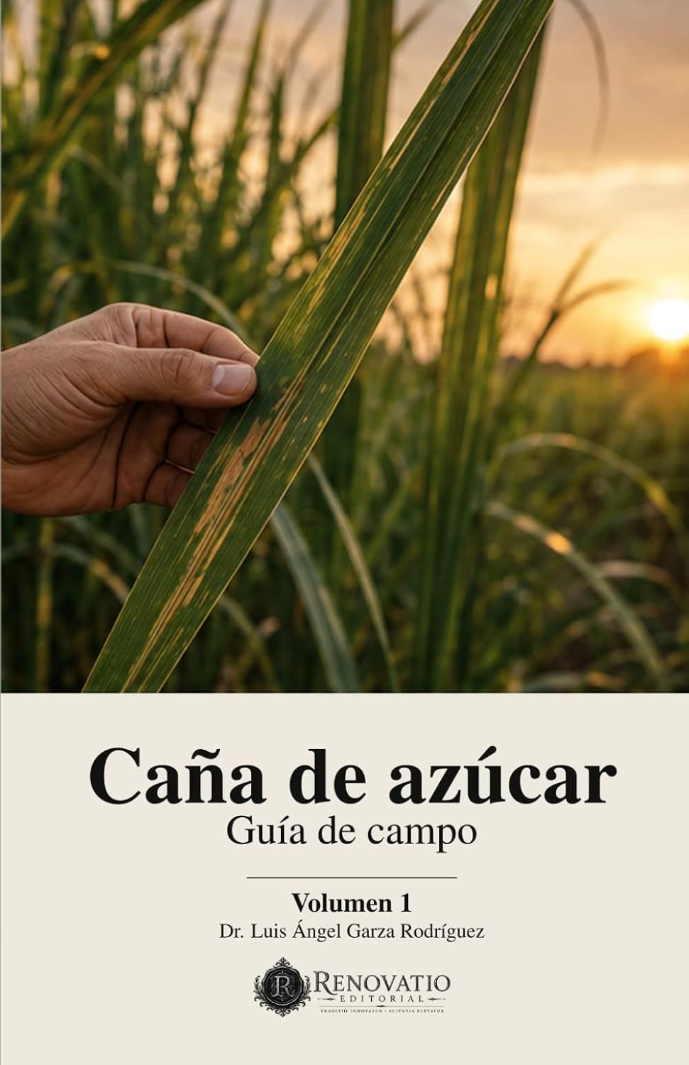 ler totalmente Caña de azúcar: Guía de campo, Volumen 1 (Spanish Edition)