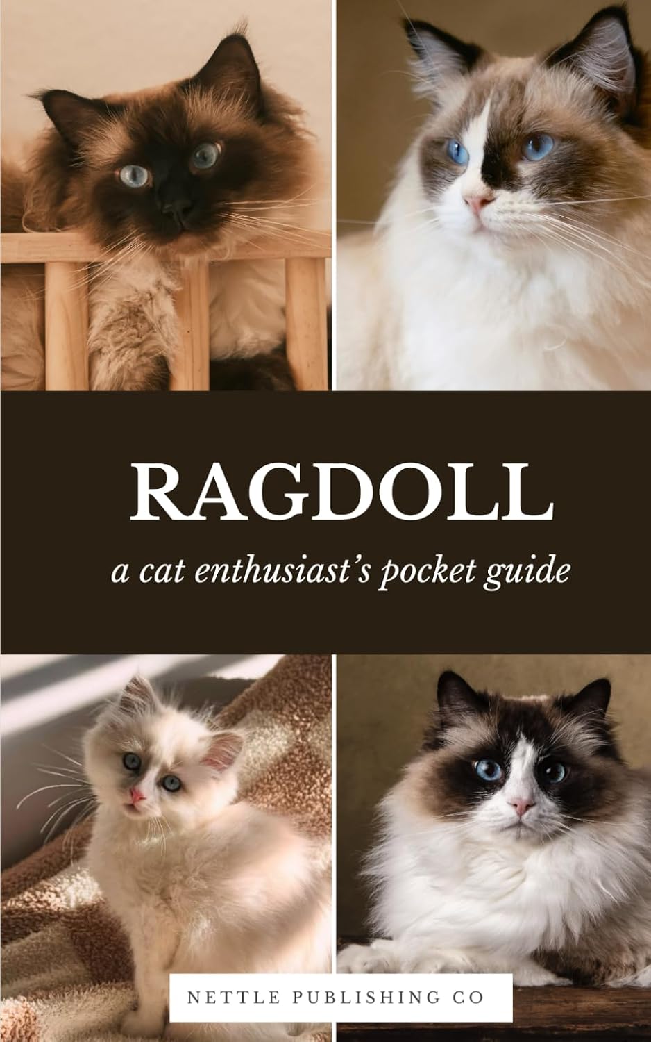Ragdoll Cats | A Complete Pocket Guide Book: Breed-Specific Care Handbook With Pet Passport with Records Logbook baixar o livro de graça