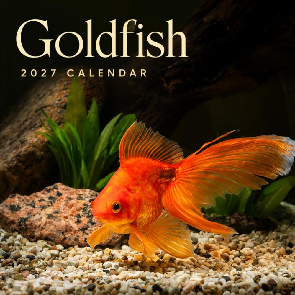 Goldfish Calendar 2027: Aquarium Fish Photography baixar livro de graça