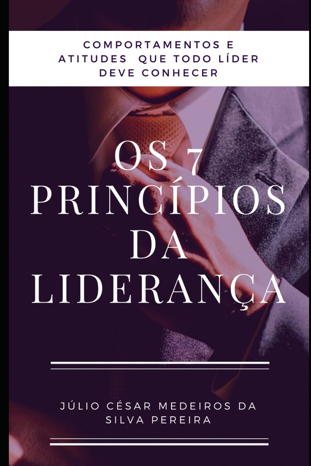 Os 7 princípios da Liderança: Atitudes e comportamentos que todo líder precisa conhecer baixar livro de graça
