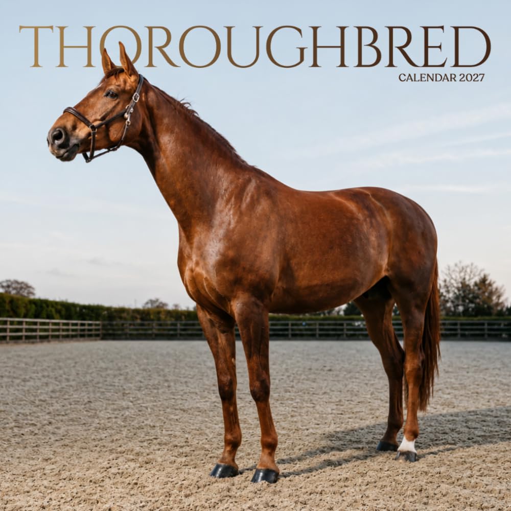 Thoroughbred Horse Calendar 2027: Horse Portraits and Pasture Scenes