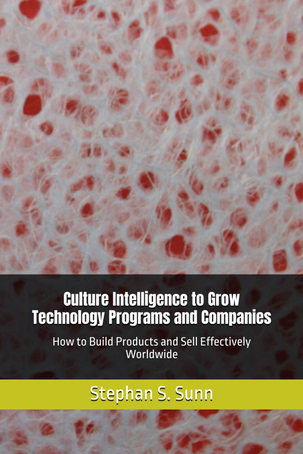Culture Intelligence to Grow Technology Programs and Companies: How to Build Products and Sell Effectively Worldwide baixar livro de graça