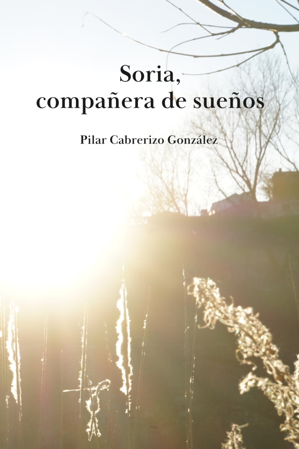 Soria, compañera de sueños (Spanish Edition) baixar o livro de graça