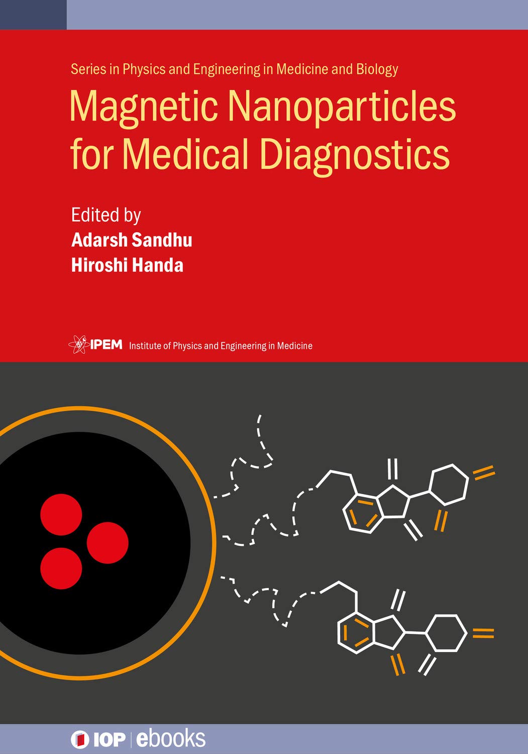 ler totalmente Magnetic Nanoparticles for Medical Diagnostics (English Edition)