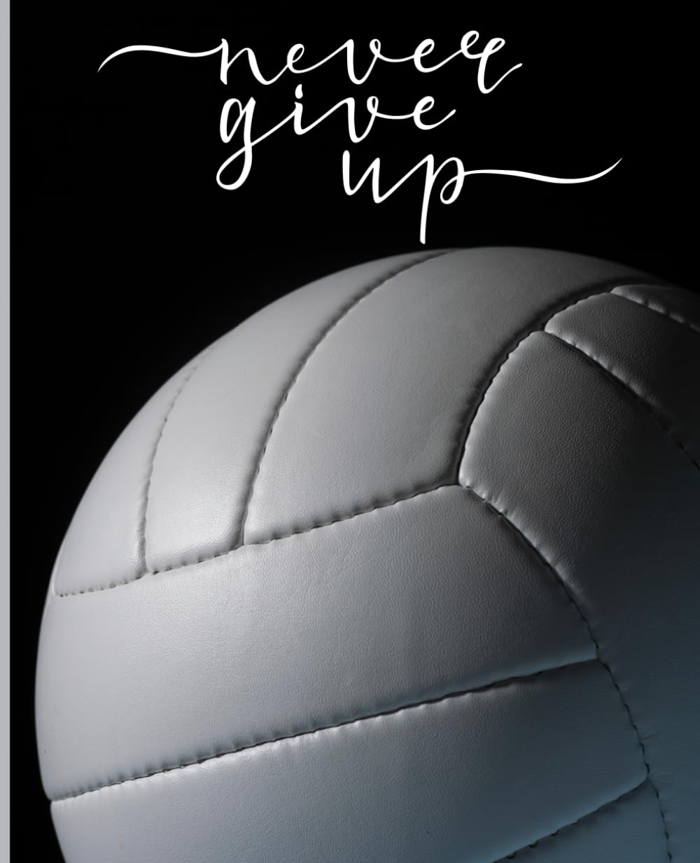 Volleyball: Never Give Up baixar o livro de graça
