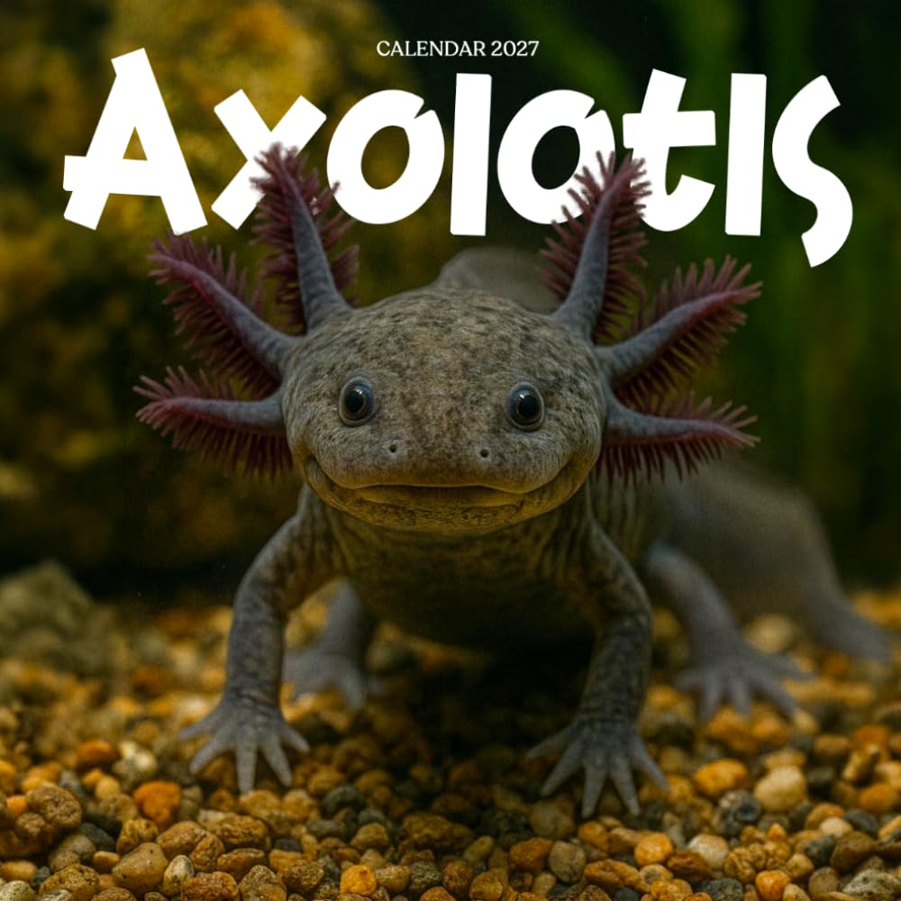 ler totalmente Axolotls Calendar 2027: Aquatic Salamanders and Tank Life