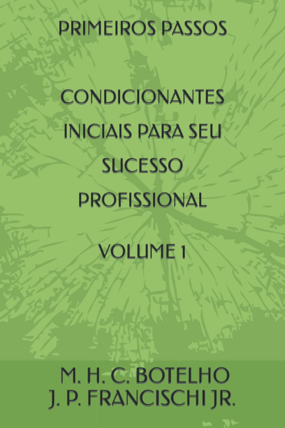 PRIMEIROS PASSOS - CONDICIONANTES INICIAIS PARA SEU SUCESSO PROFISSIONAL - VOLUME 1 (Portuguese Edition) baixar livro de graça