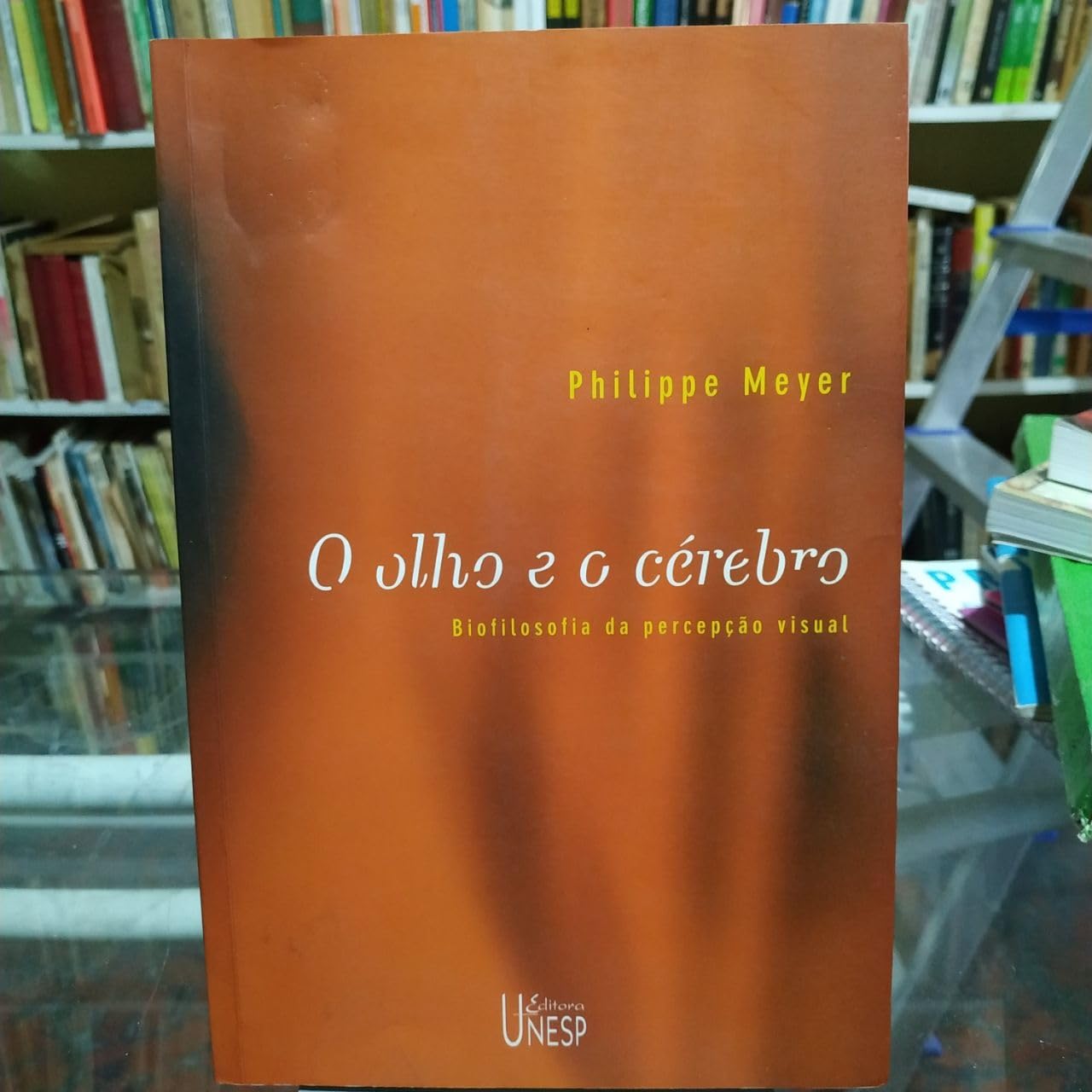 O olho e o cérebro