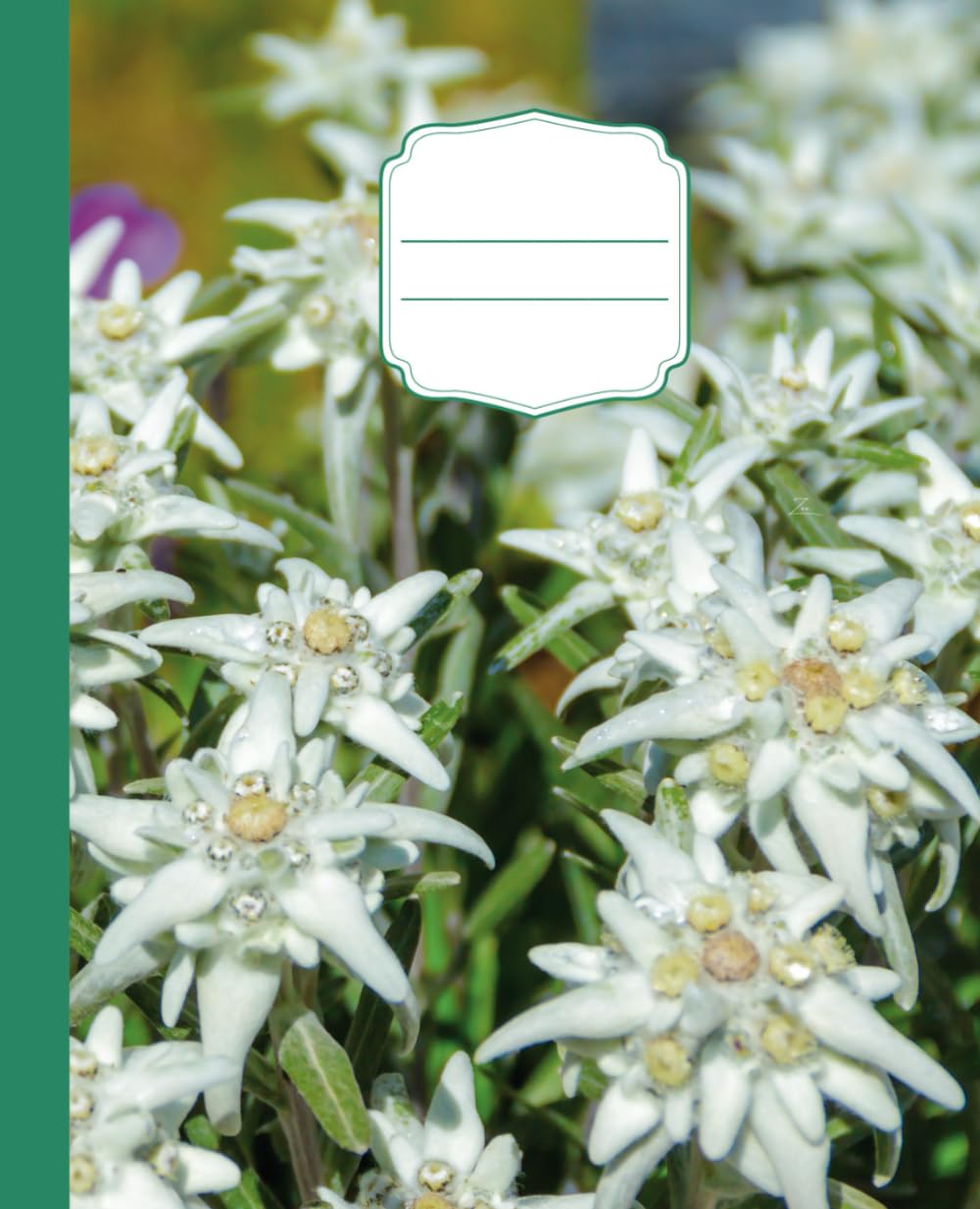 ler totalmente Edelweiss Design Composition Notebook: 100 Pages Wide Rule White Interior Pages 7.5" x 9.25" Standard Size for Students, Boys, Girls, Men, Women.
