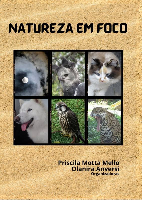 capítulo por capítulo baixar Natureza em Foco