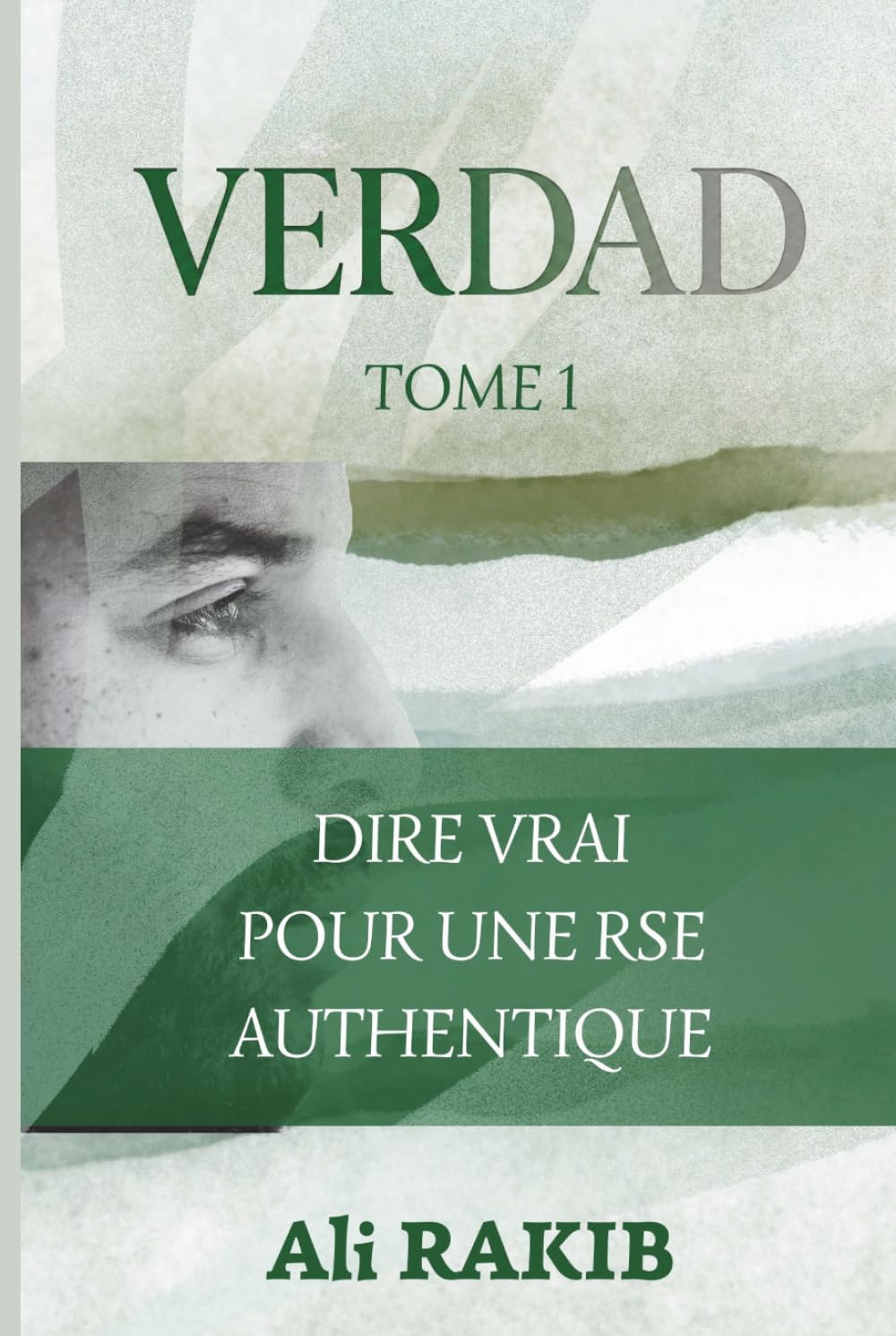 VERDAD - TOME 1: Dire Vrai pour une RSE Authentique (French Edition) baixar o livro de graça