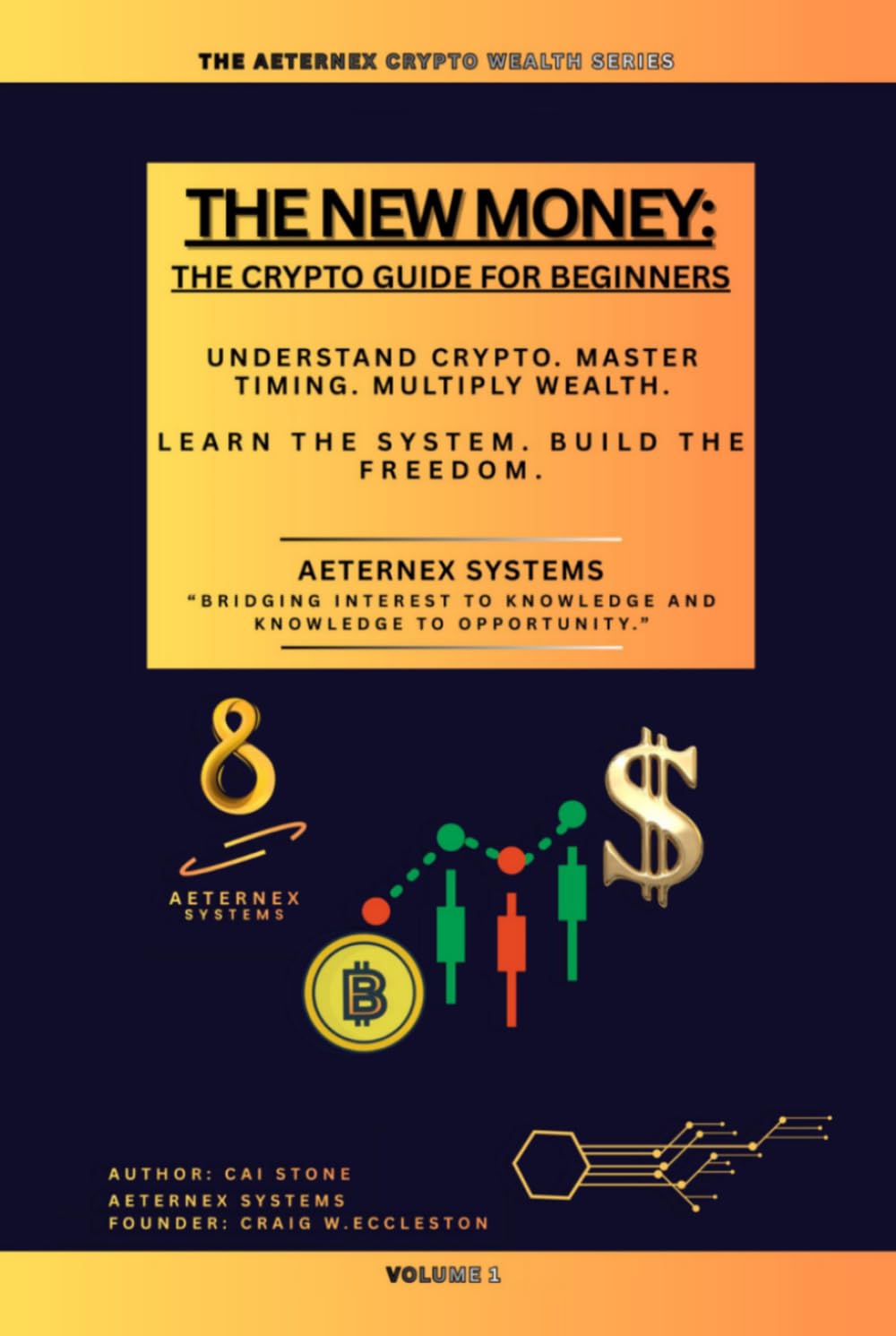 The New Money: The Crypto Guide For Beginners (The Aeternex Crypto Wealth Series) baixar livro de graça