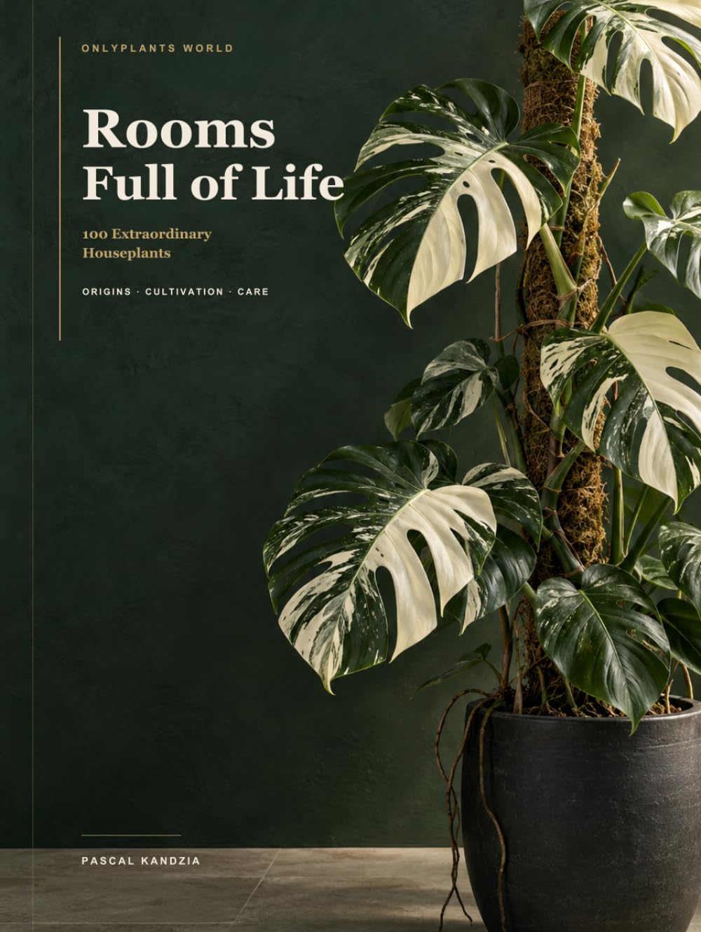 Rooms Full of Life: 100 Extraordinary Houseplants – Origins, Cultivation & Care baixar livro de graça