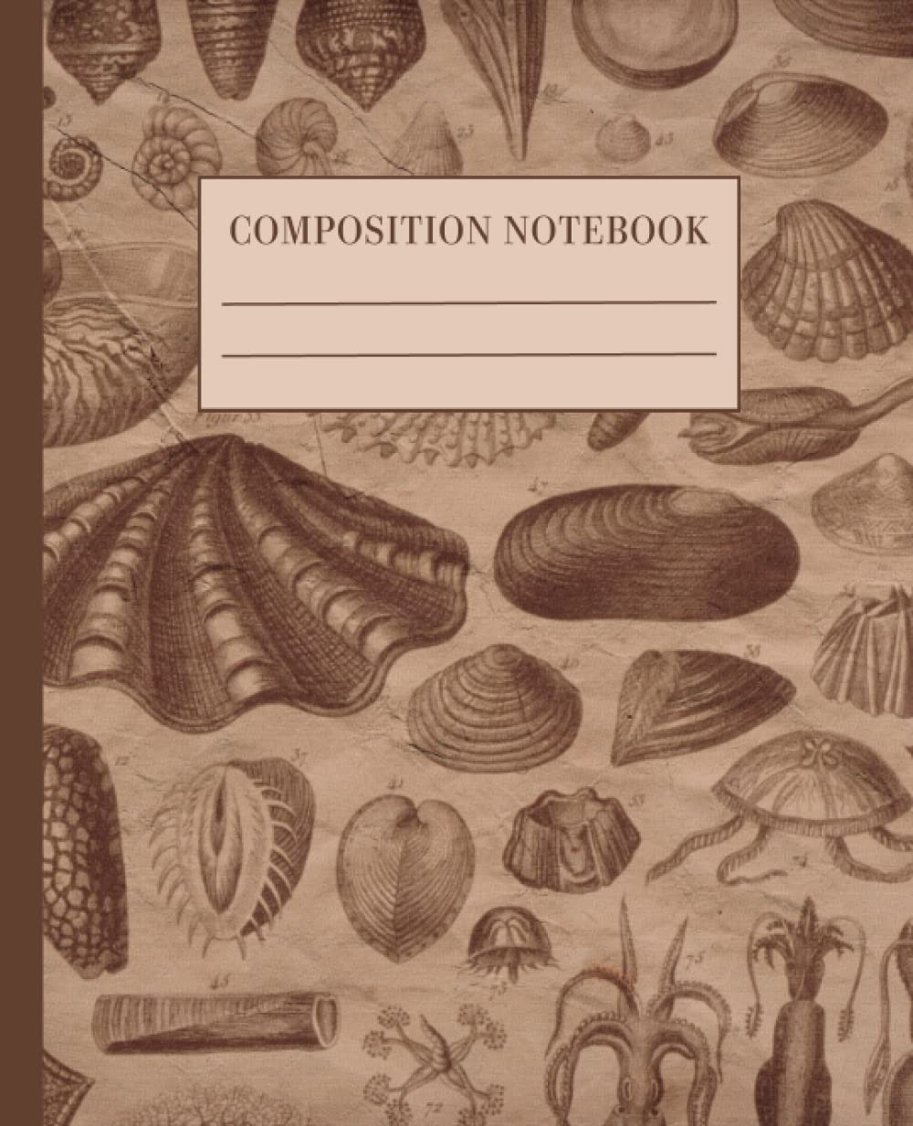 Vintage Seashells Composition Notebook College Ruled: Aesthetic Journal for School, College Students, Work, Diary baixar o livro de graça