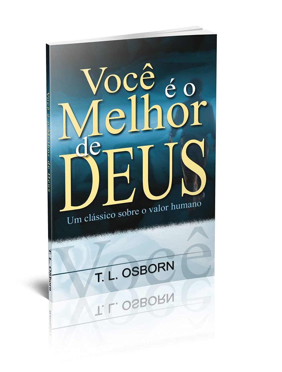 Você É o Melhor de Deus baixar livro de graça