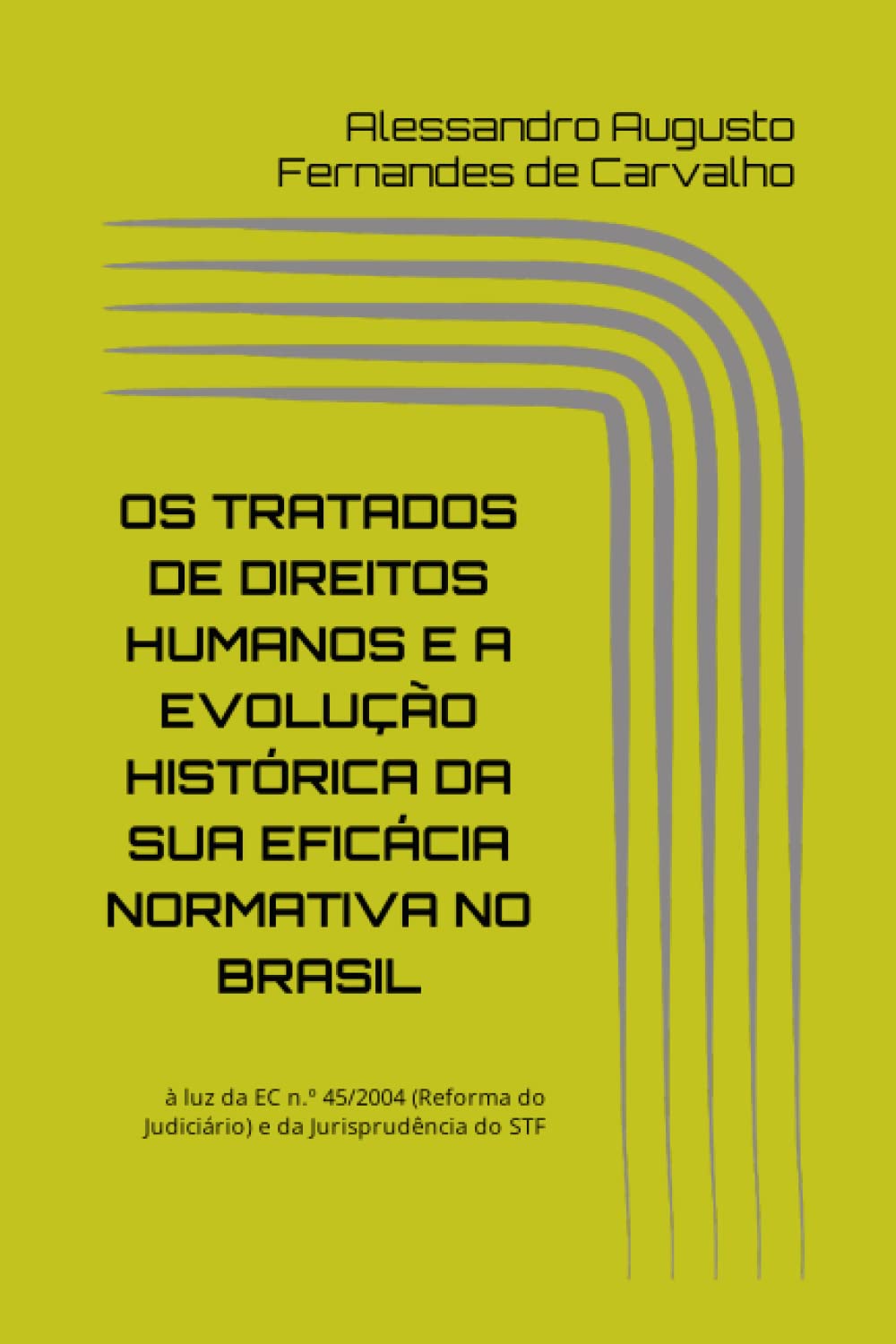 OS TRATADOS DE DIREITOS HUMANOS E A EVOLUÇÃO HISTÓRICA DA SUA EFICÁCIA NORMATIVA NO BRASIL (Portuguese Edition) baixar livro de graça